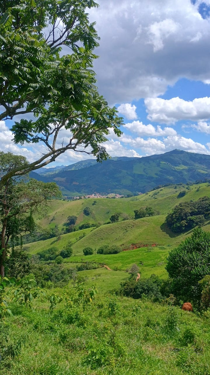 Terreno rural maravilhoso em Dom viçoso região de São Lourenço MG