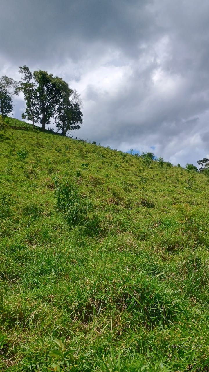 Terreno rural maravilhoso em Dom viçoso região de São Lourenço MG