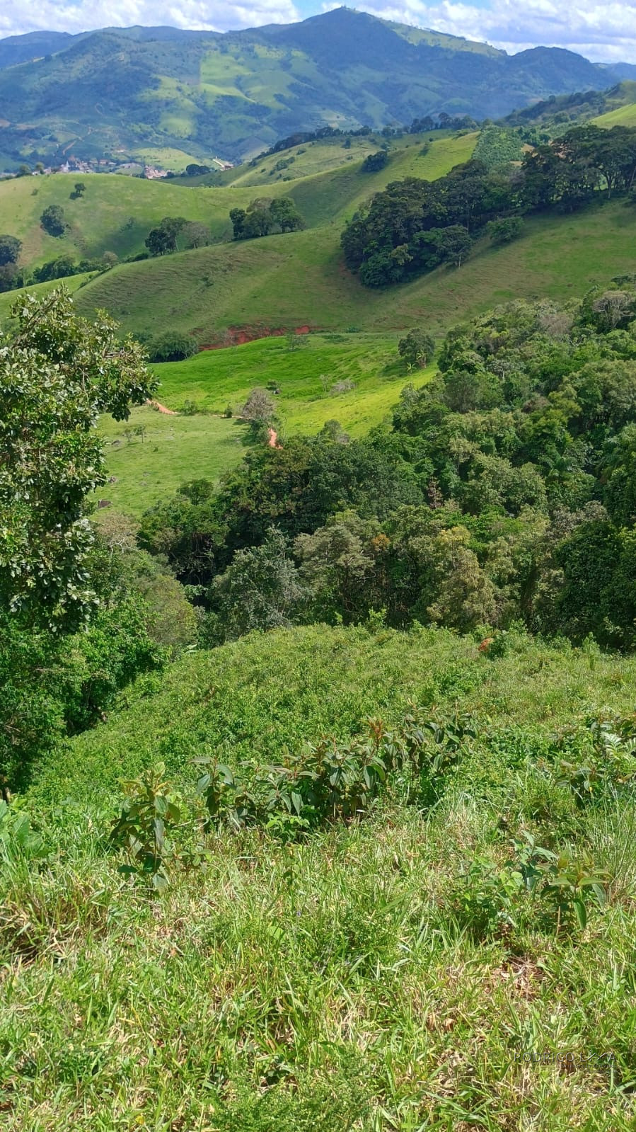 Terreno rural maravilhoso em Dom viçoso região de São Lourenço MG