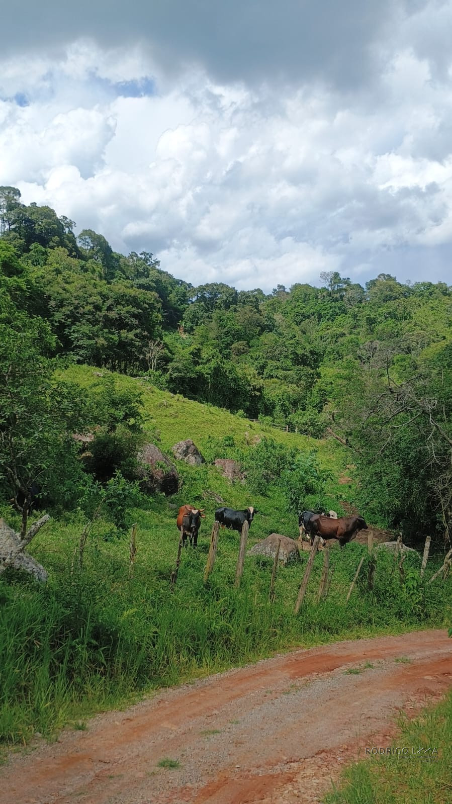 Terreno rural maravilhoso em Dom viçoso região de São Lourenço MG