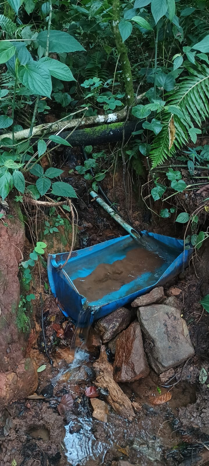Terreno rural maravilhoso em Dom viçoso região de São Lourenço MG