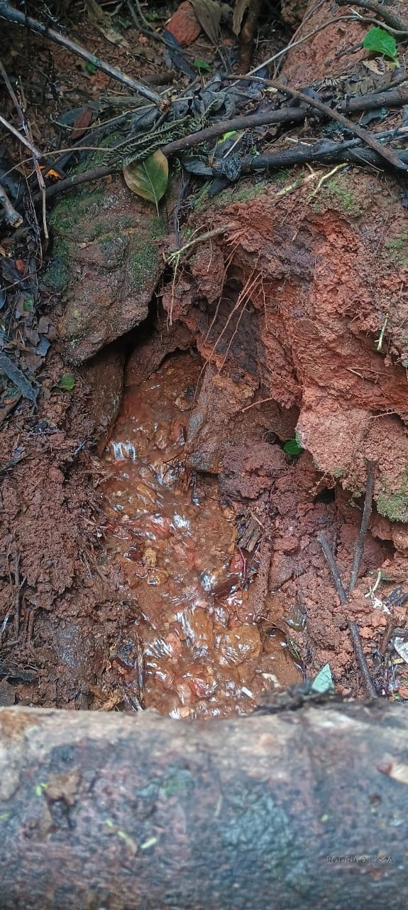 Terreno rural maravilhoso em Dom viçoso região de São Lourenço MG