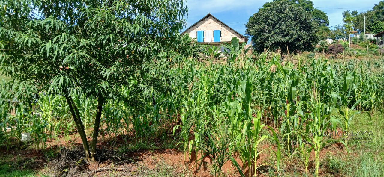 Linda chácara para venda próximo a São Lourenço - MG.