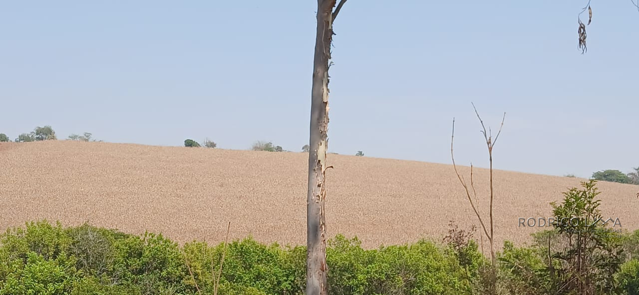 Fazenda para venda próximo a São Lourenço - mg