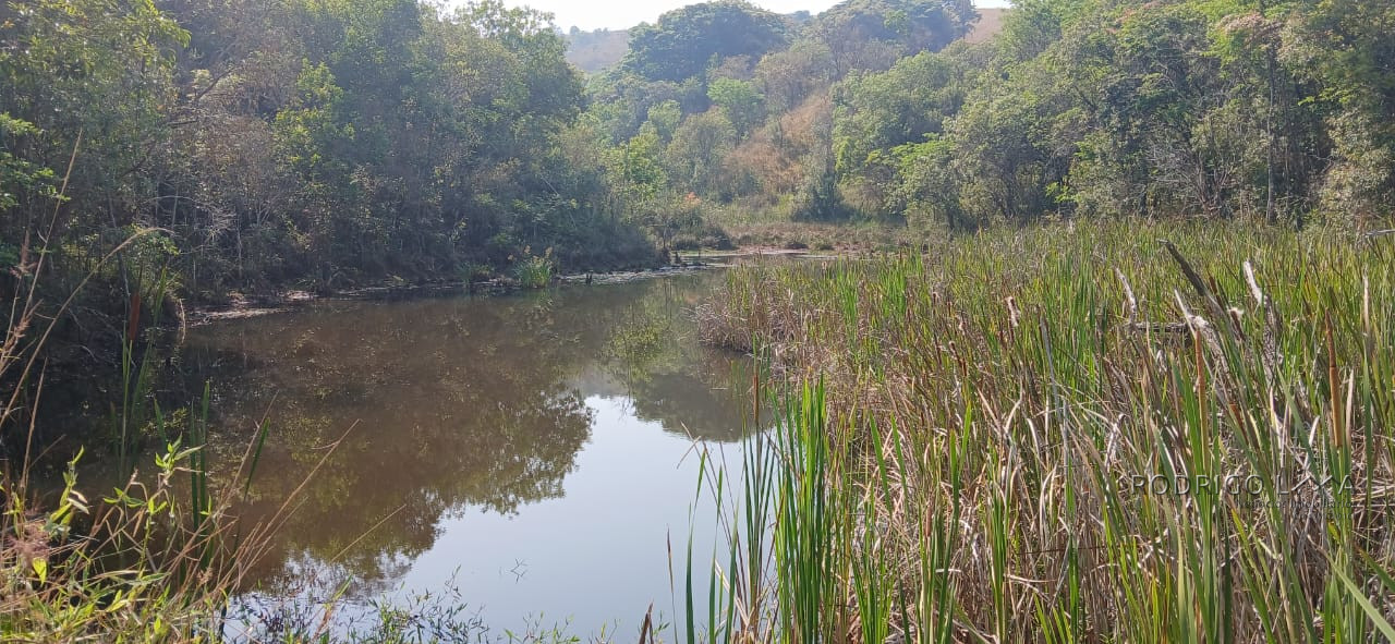 Fazenda para venda próximo a São Lourenço - mg