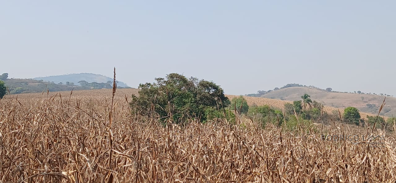 Fazenda para venda próximo a São Lourenço - mg