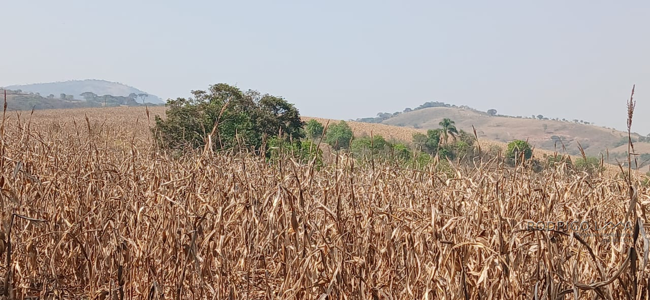 Fazenda para venda próximo a São Lourenço - mg