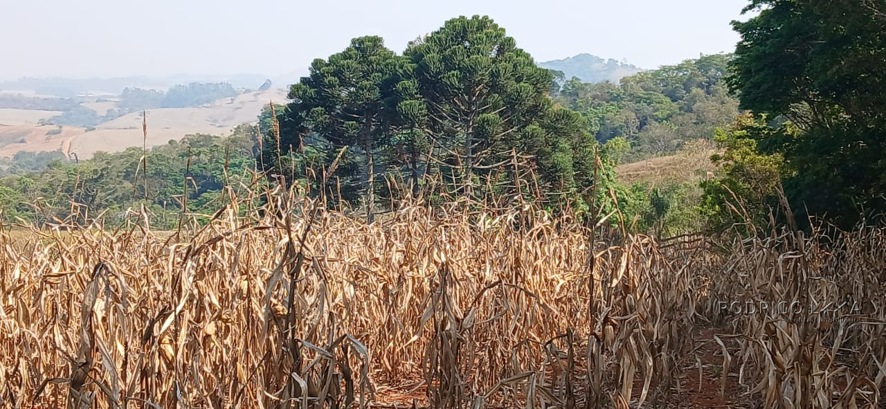 Fazenda para venda próximo a São Lourenço - mg