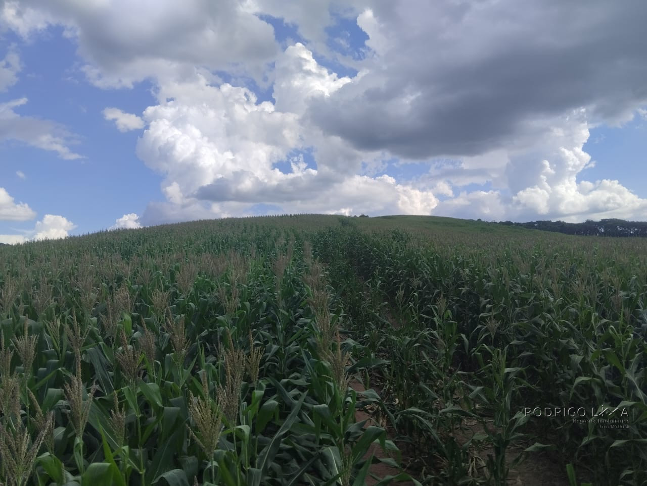 Fazenda para venda próximo a São Lourenço - mg