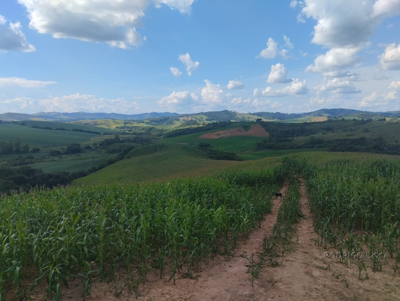 Fazenda para venda próximo a São Lourenço - mg