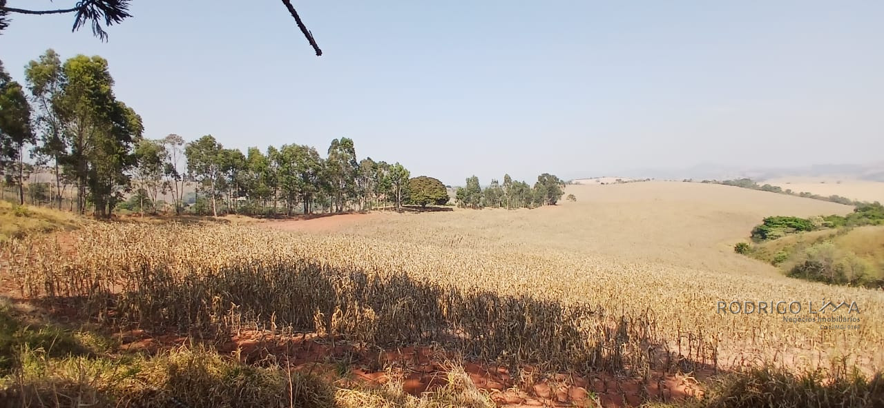 Fazenda para venda próximo a São Lourenço - mg