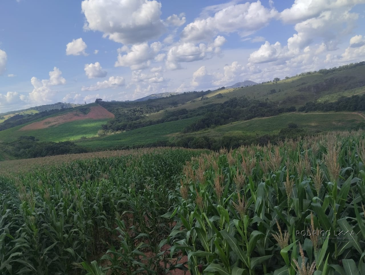 Fazenda para venda próximo a São Lourenço - mg
