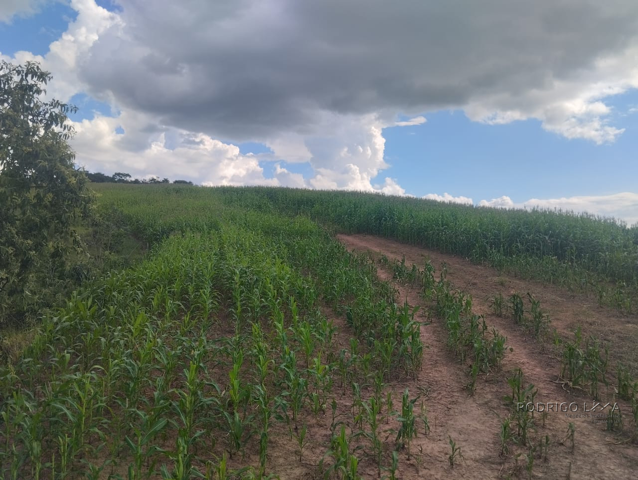 Fazenda para venda próximo a São Lourenço - mg