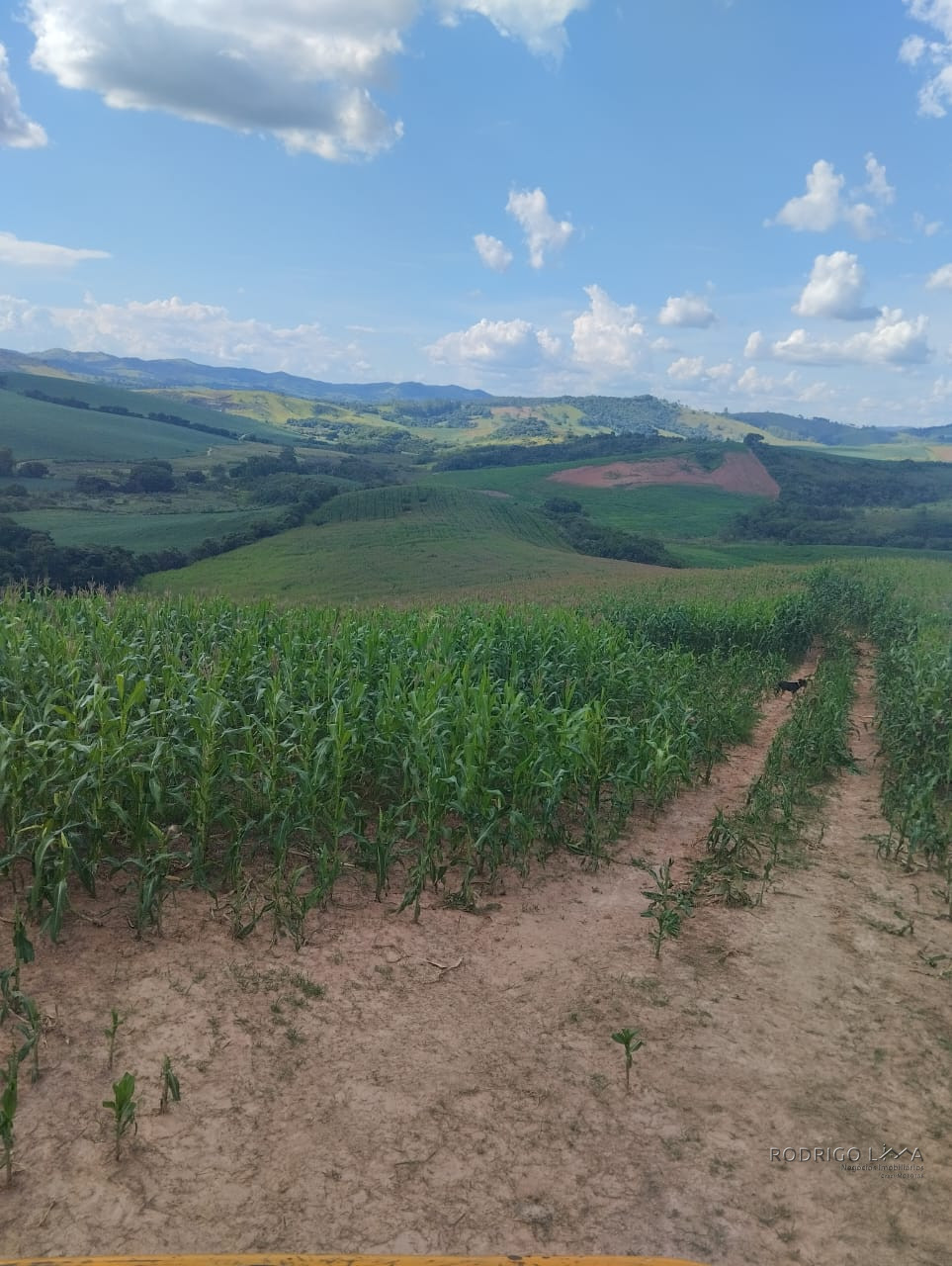 Fazenda para venda próximo a São Lourenço - mg