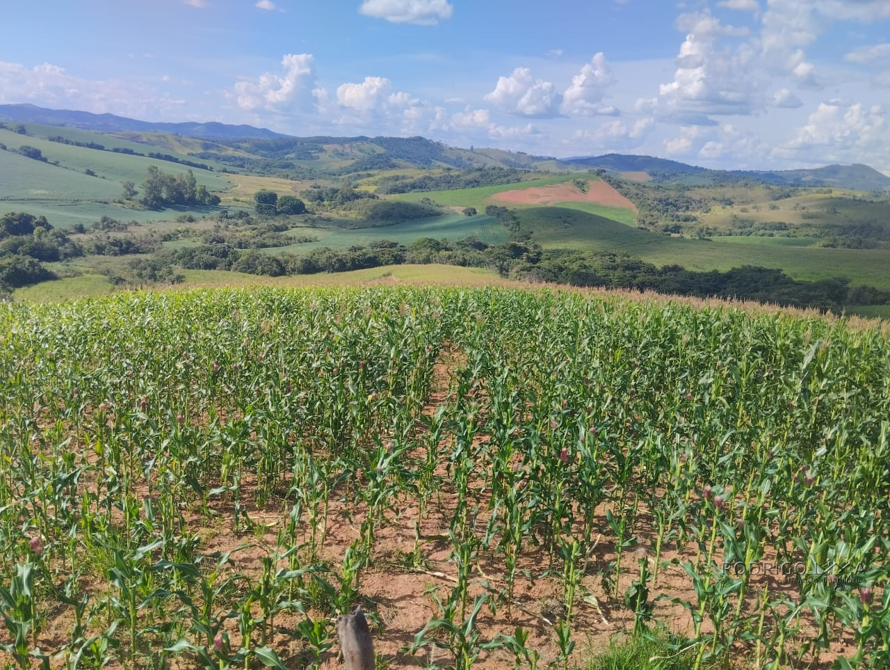 Fazenda para venda próximo a São Lourenço - mg