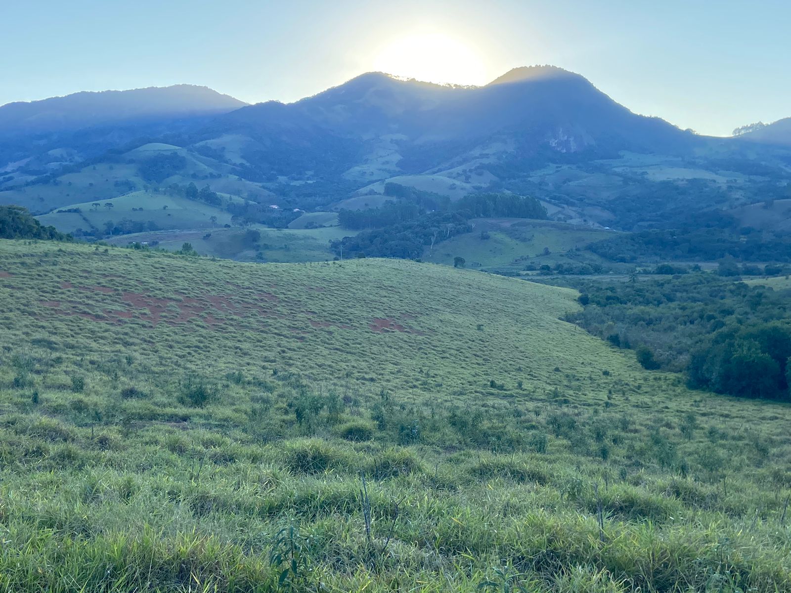 Linda área para venda em Dom Viçoso - MG.