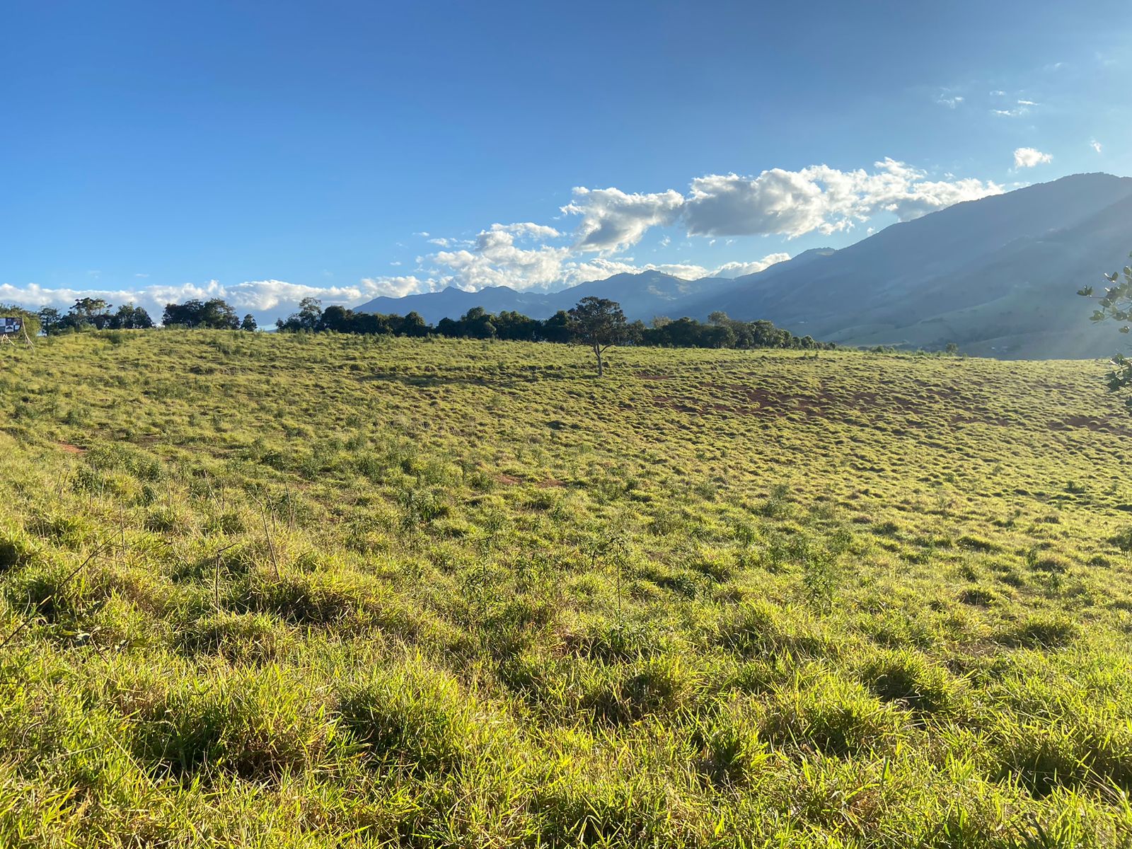 Linda área para venda em Dom Viçoso - MG.