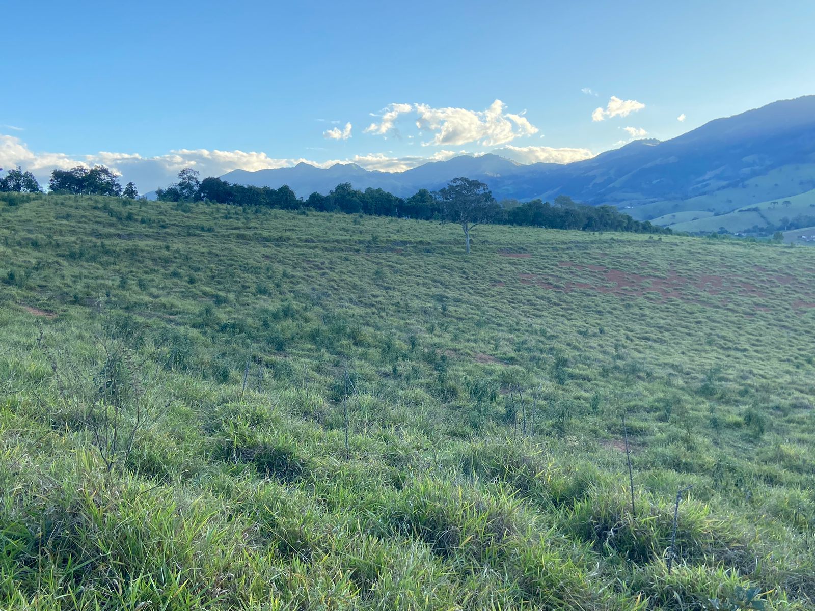 Linda área para venda em Dom Viçoso - MG.
