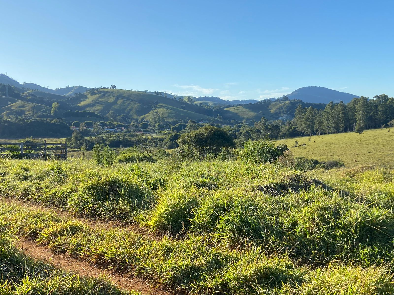 Linda área para venda em Dom Viçoso - MG.