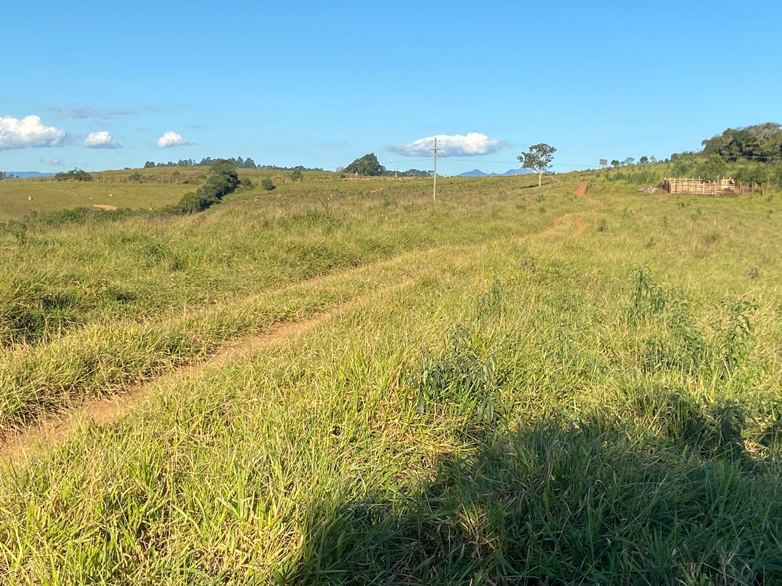 Linda área para venda em Dom Viçoso - MG.