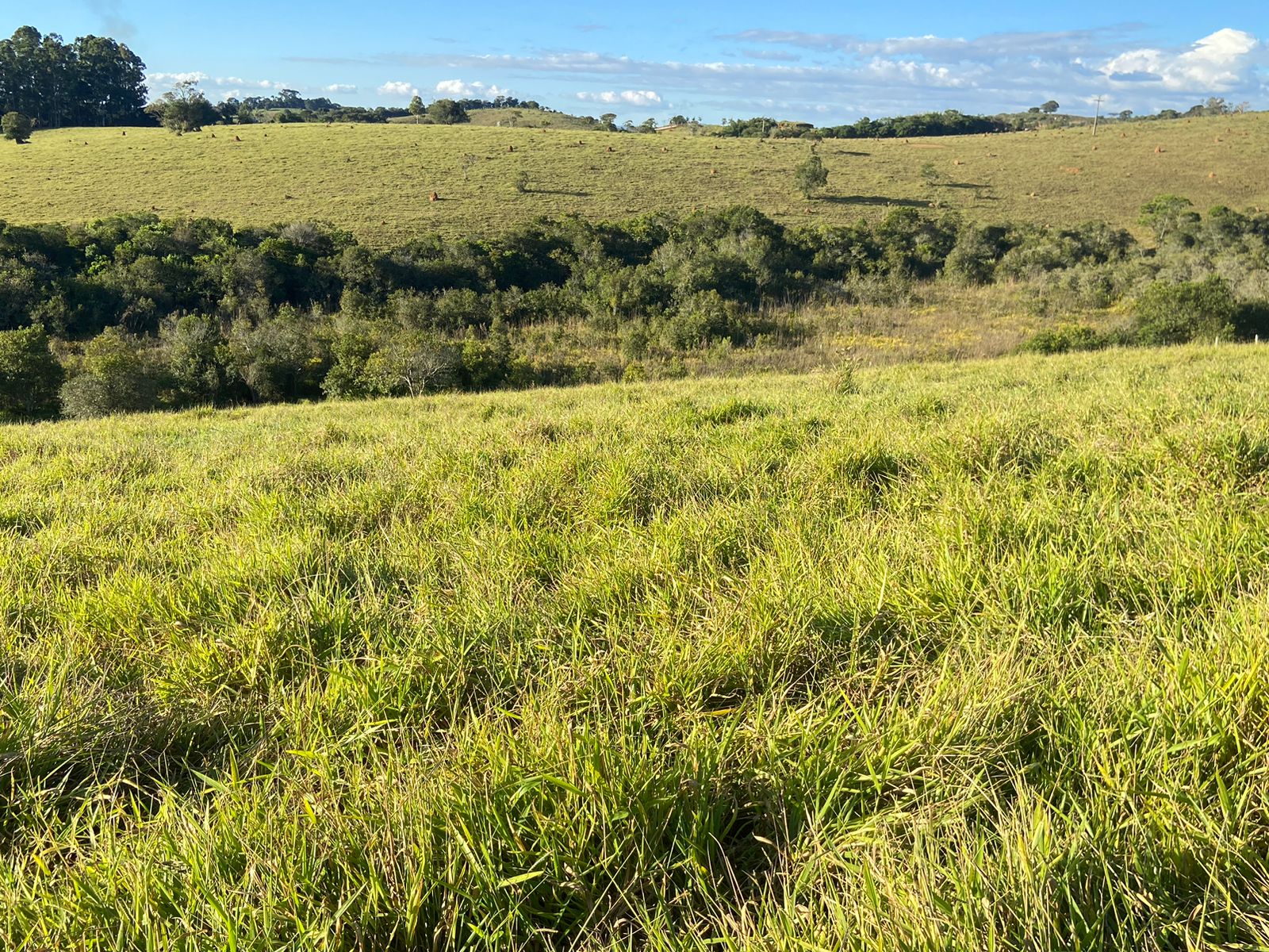 Linda área para venda em Dom Viçoso - MG.