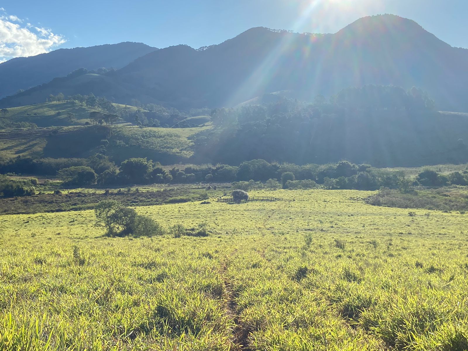 Linda área para venda em Dom Viçoso - MG.