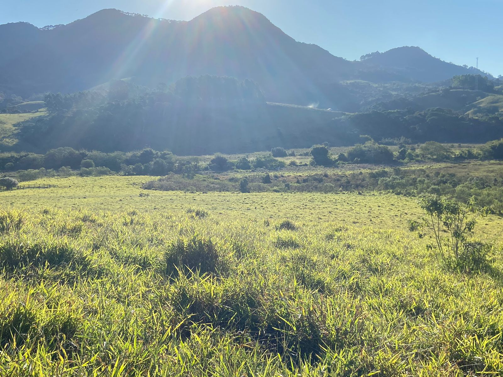 Linda área para venda em Dom Viçoso - MG.