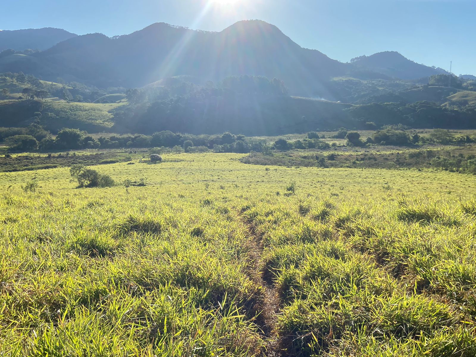 Linda área para venda em Dom Viçoso - MG.