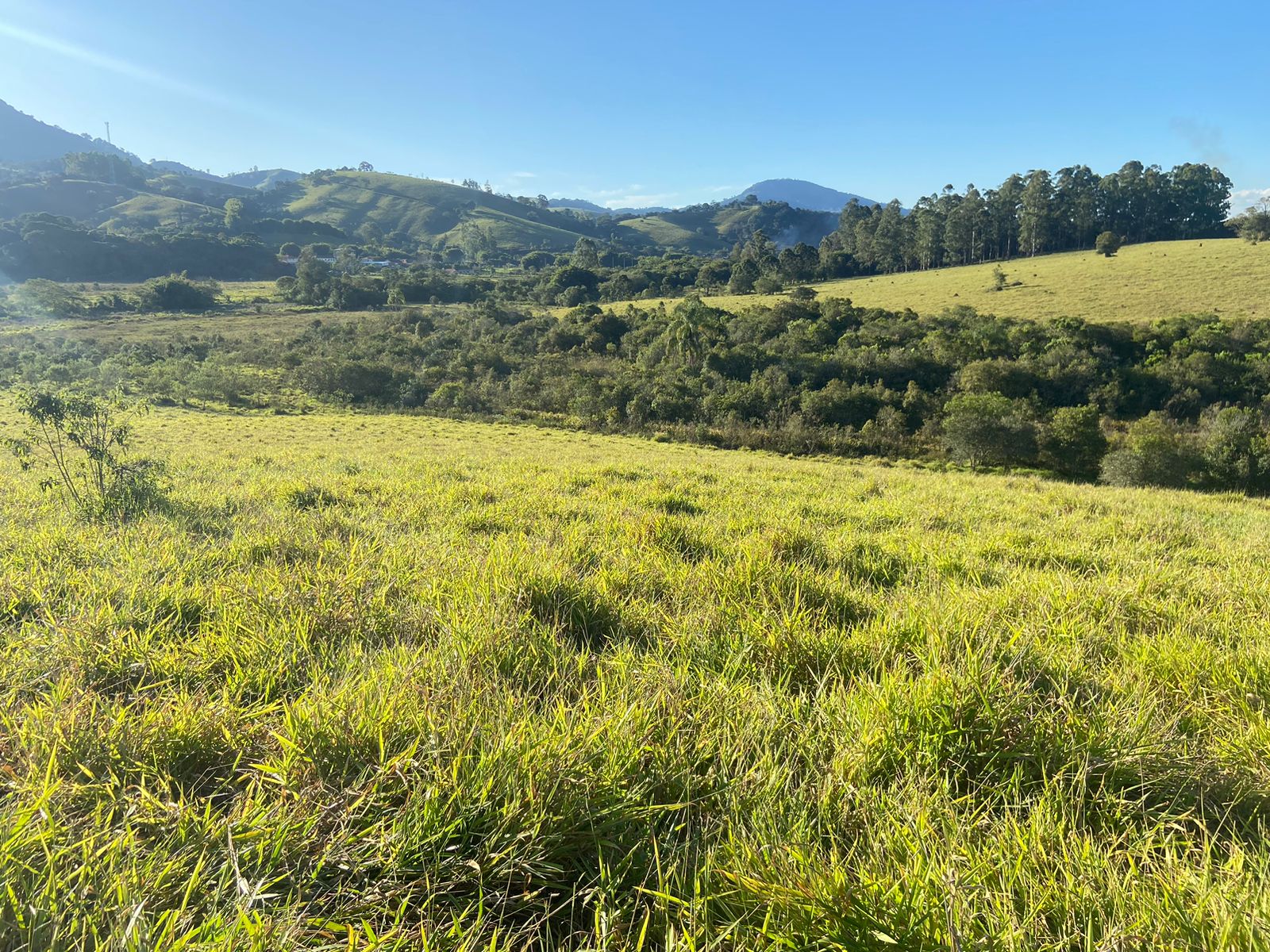Linda área para venda em Dom Viçoso - MG.