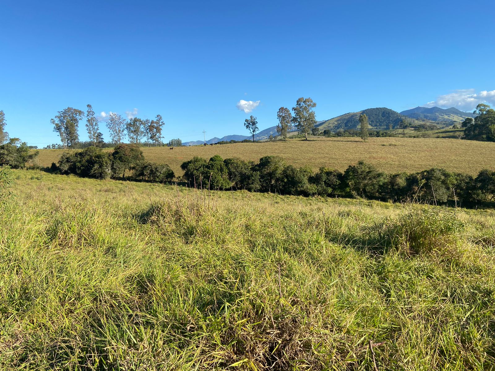 Linda área para venda em Dom Viçoso - MG.