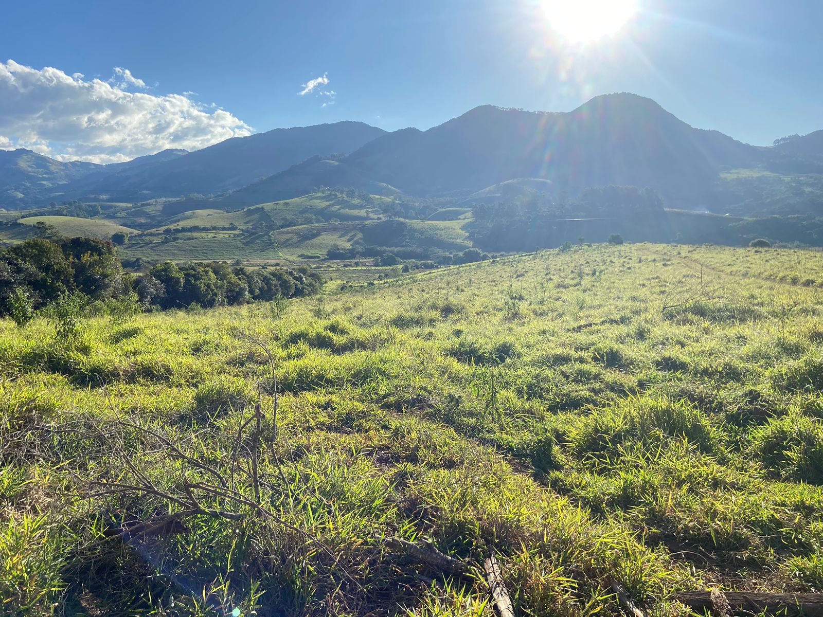 Linda área para venda em Dom Viçoso - MG.