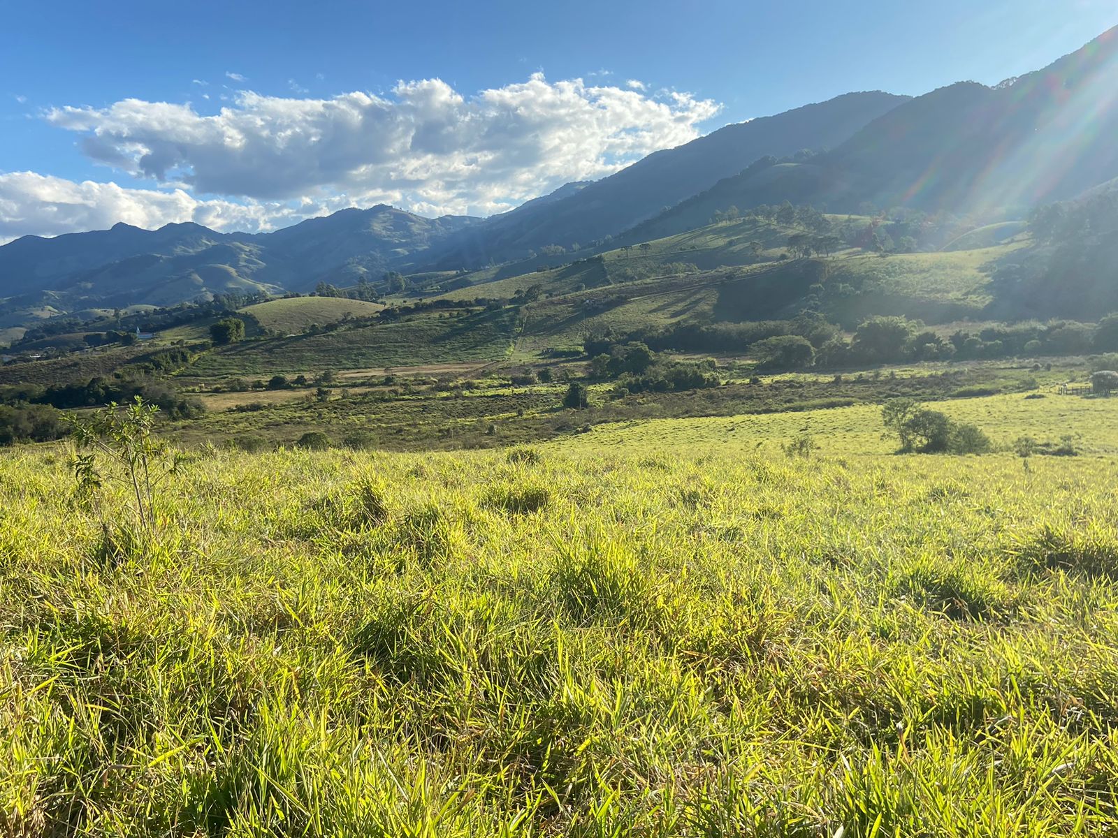 Linda área para venda em Dom Viçoso - MG.