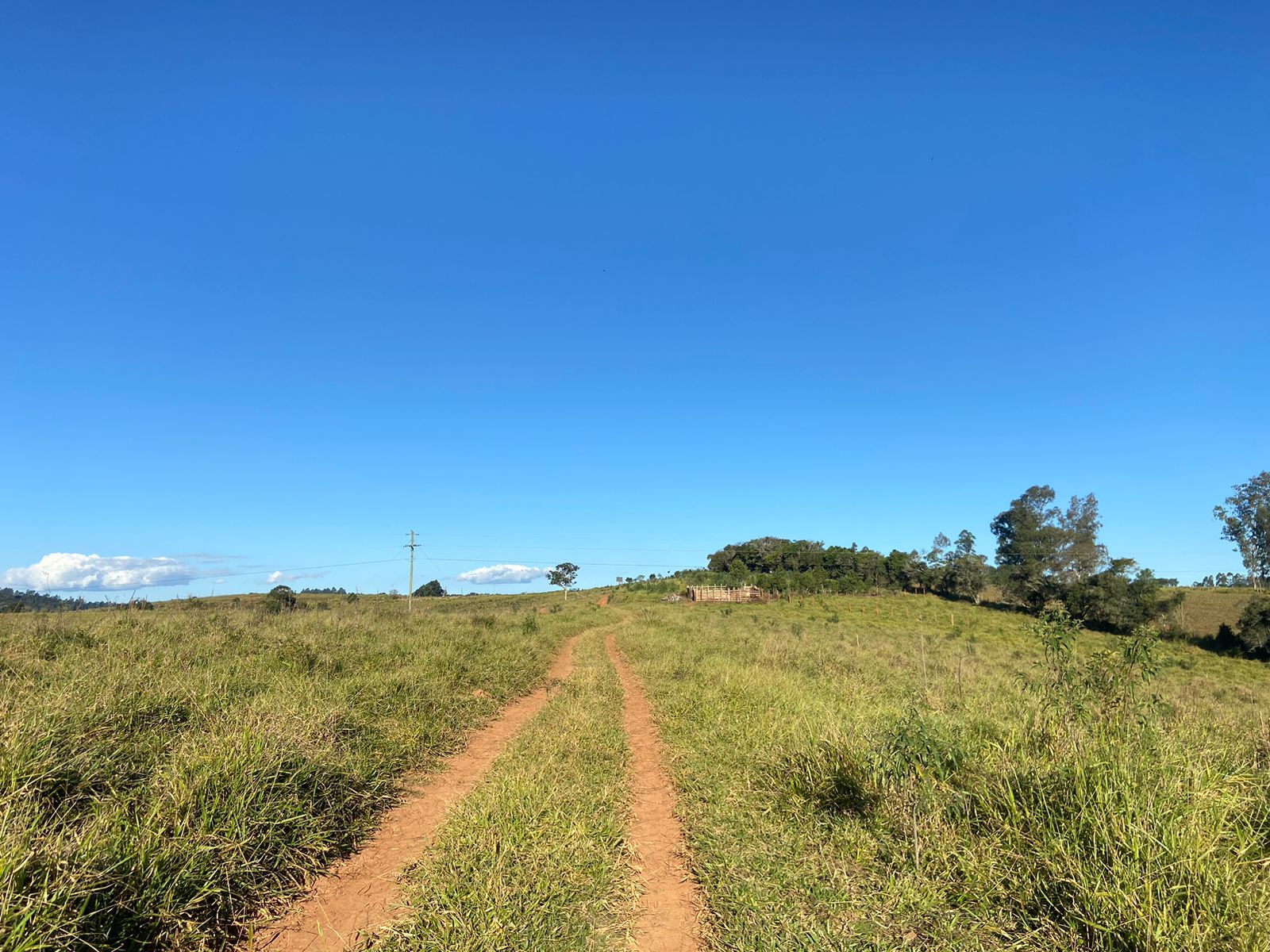 Linda área para venda em Dom Viçoso - MG.