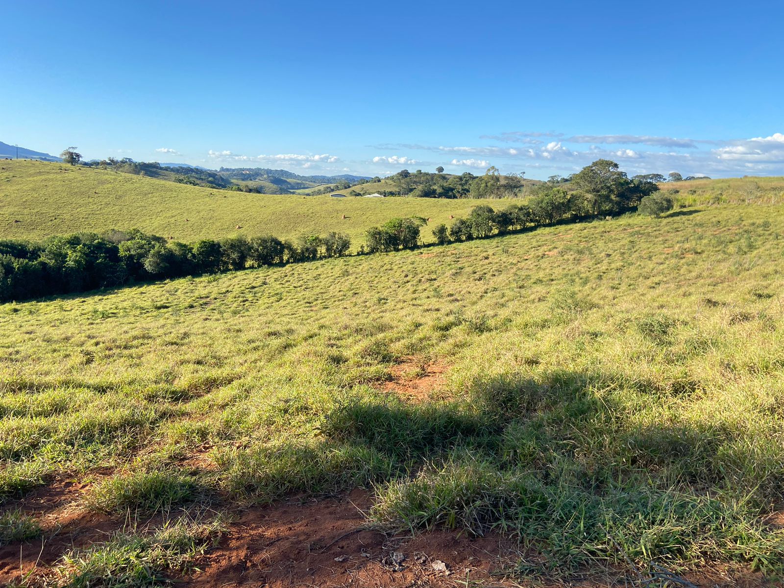 Linda área para venda em Dom Viçoso - MG.