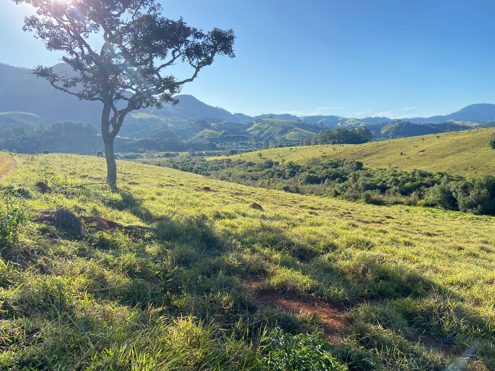 Linda área para venda em Dom Viçoso - MG.