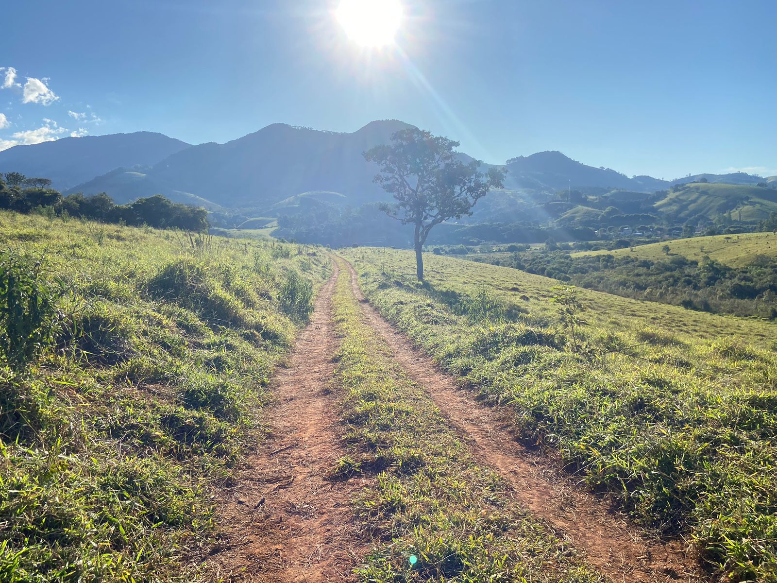 Linda área para venda em Dom Viçoso - MG.