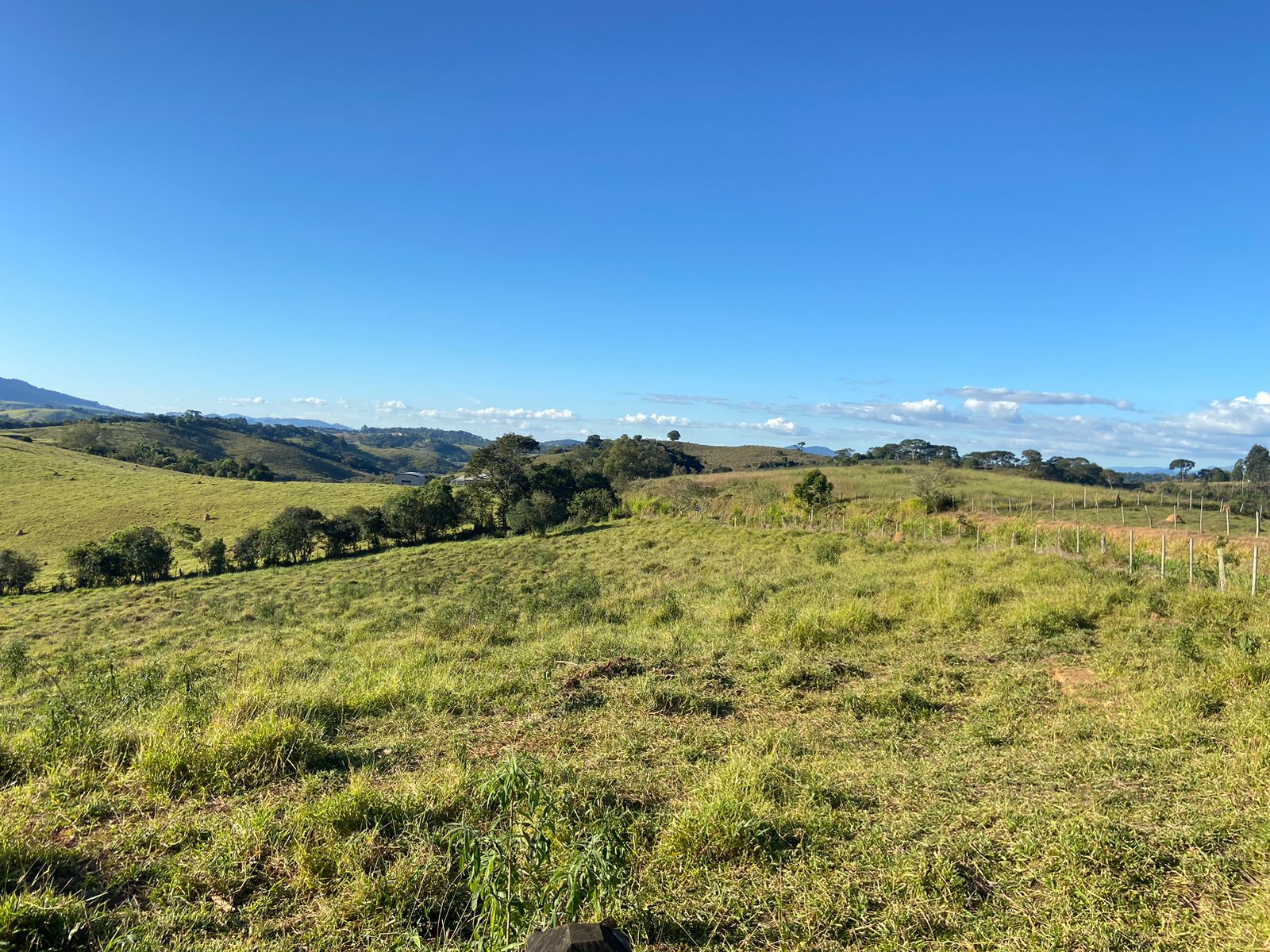 Linda área para venda em Dom Viçoso - MG.