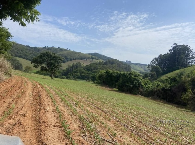 Linda fazenda para venda em Baependi - MG