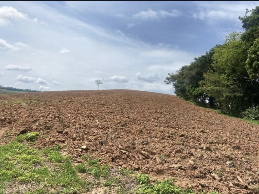 Linda fazenda para venda em Baependi - MG