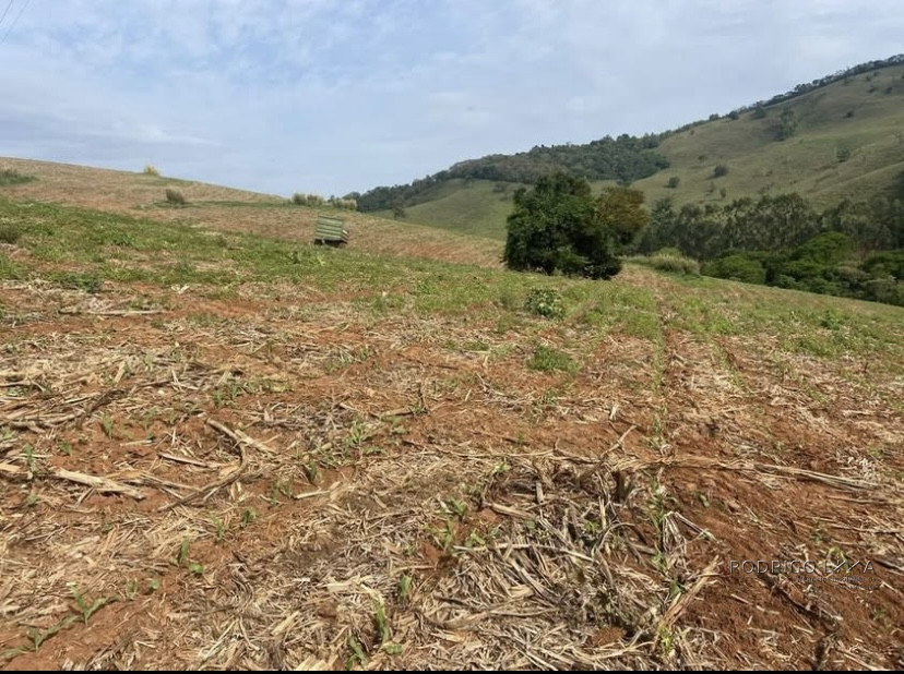 Linda fazenda para venda em Baependi - MG