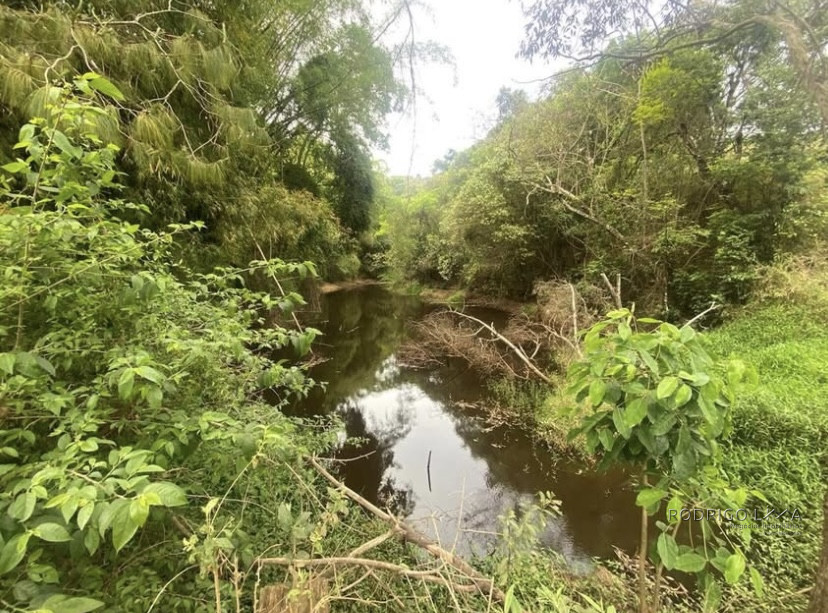 Linda fazenda para venda em Baependi - MG