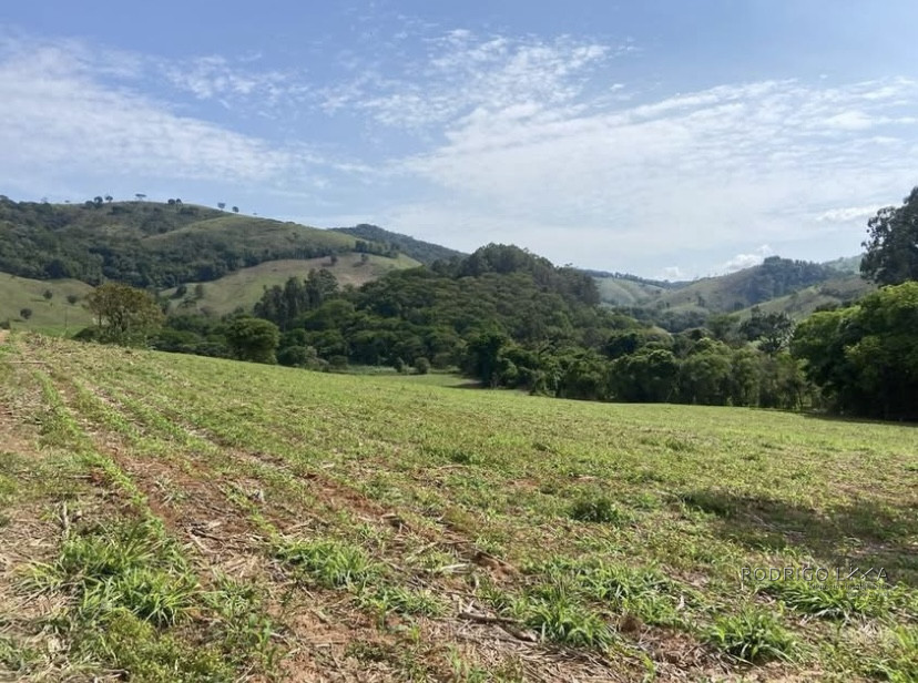 Linda fazenda para venda em Baependi - MG