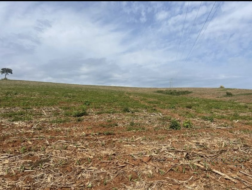 Linda fazenda para venda em Baependi - MG
