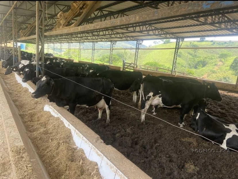 Linda fazenda para venda em Baependi - MG