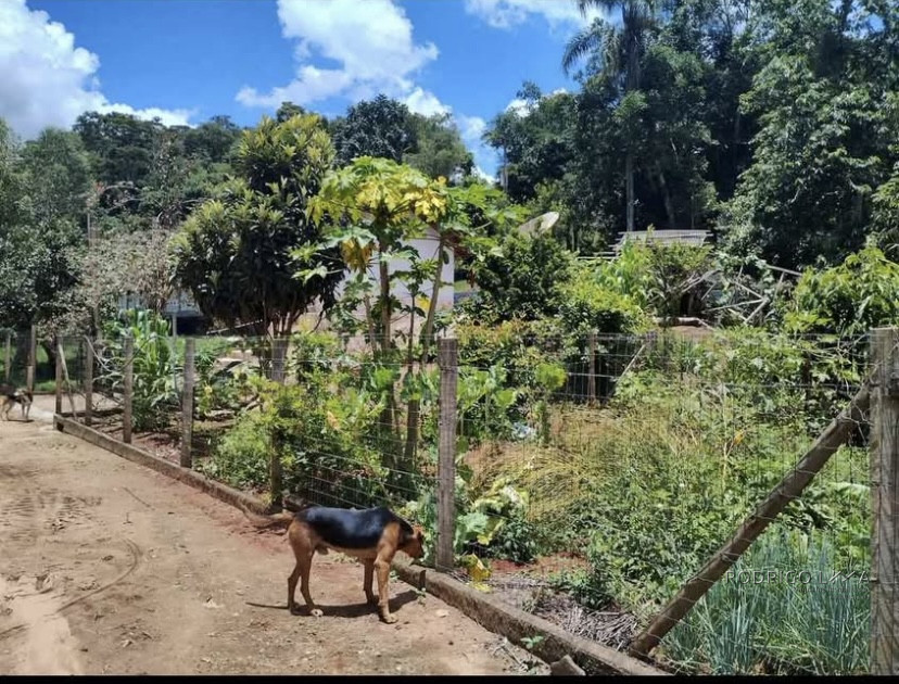 Linda chácara para venda próximo a São Lourenço - MG.