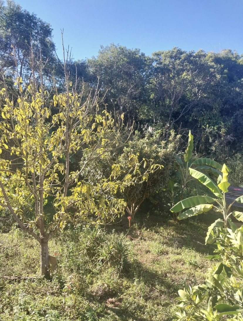 Linda chácara para venda próximo a São Lourenço - MG.