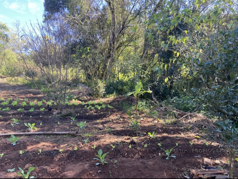 Linda chácara para venda próximo a São Lourenço - MG.