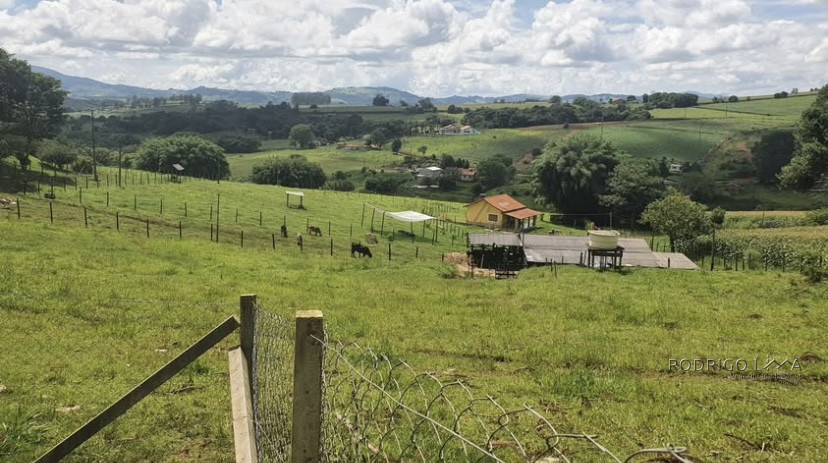 Lindo sítio para venda em Pouso Alegre - MG.