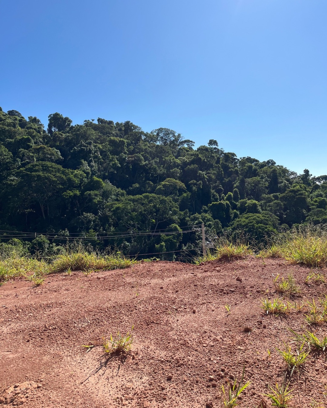 Lote a Venda em São Lourenço, Loteamento Parque da Mata