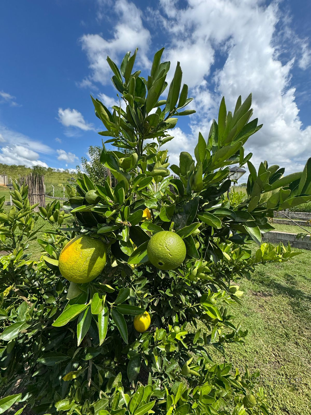Linda chácara para venda á 20 minutos de São Lourenço - MG.